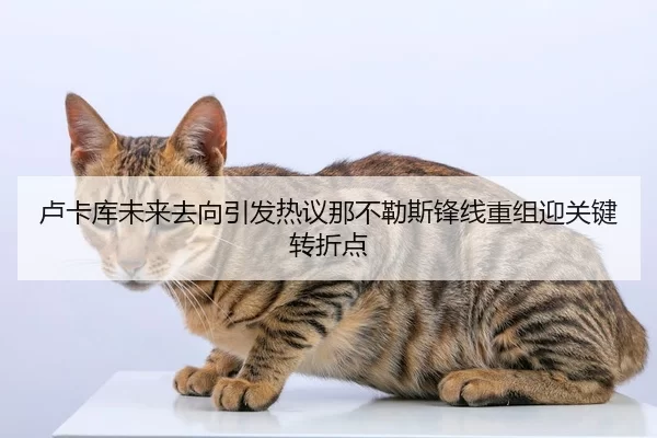 卢卡库未来去向引发热议那不勒斯锋线重组迎关键转折点