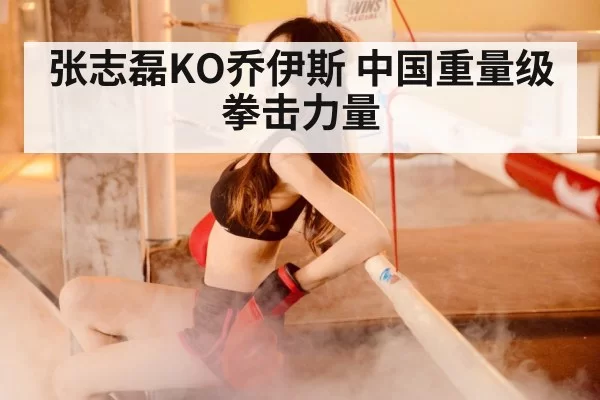 zhang zhilei boxing KO joyce