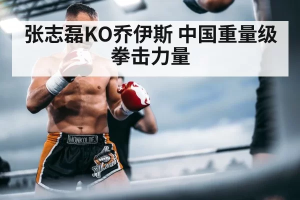 chinese heavyweight boxing champion